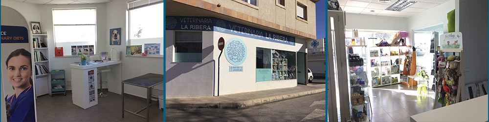 clinica-veterinaria-la-ribera-carrusel